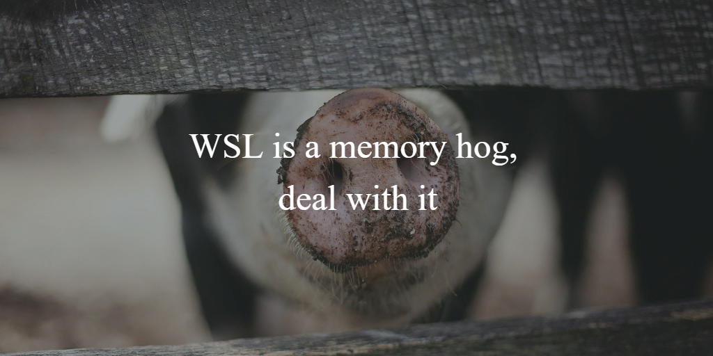 WSL is a memory hog, deal with it